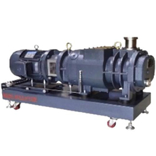 RDV Series Screw Vacuum Pump
